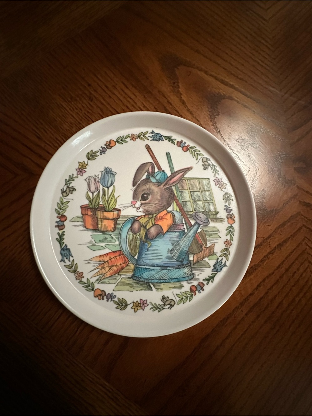 Oneida Deluxe Peter Rabbit Melamine Dinnerware Set - Picture 14 of 16